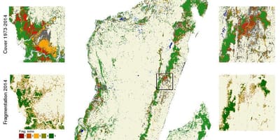 Harta e Madagaskar shpyllëzimi