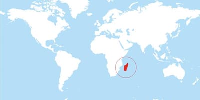 Harta e Madagaskar vend në botë